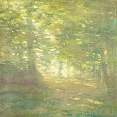 Peter Daniš – Lesopark 