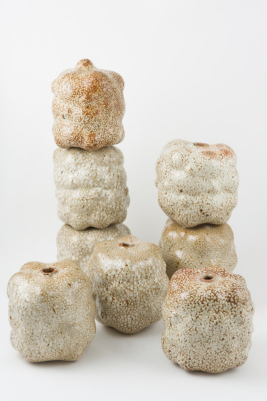 Jozef Sušienka – Plastická vertikála 