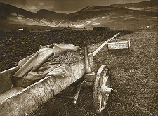 Anton Fiala – Na roli 