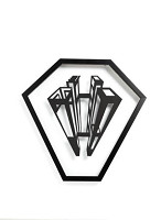 Petra Nováková – Kvet ( z cyklu Mali duše ako večne zastlané postele) 