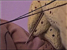 Anna Daučíková – Domáce cvičenie 