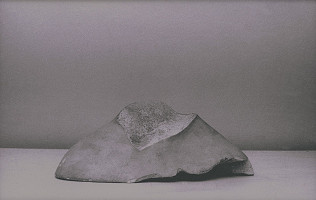 Milota Havránková – Autoportrét (zo série Introspekcia, Oživenie) 