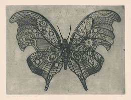 Ladislav Josef Kašpar – Motýle 