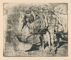 Viktor Hermély – V prestávke 