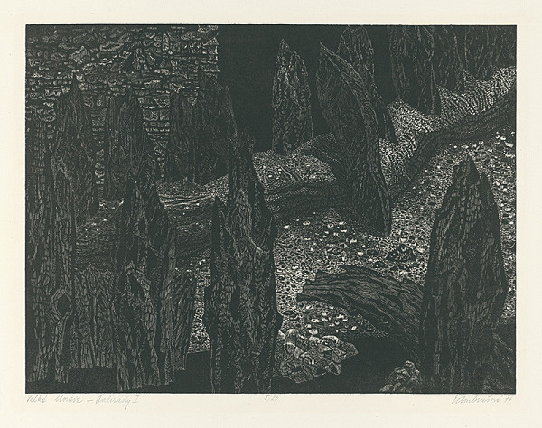 Edita Ambrušová – Veľká Morava - Palisády I. 