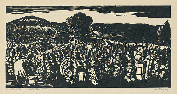 Matilda Čechová – Oberačka v Rači II. 