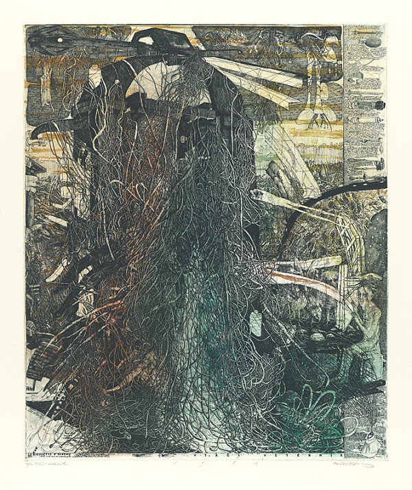 Dušan Kállay – Vtačí veterník 