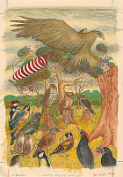 František Blaško – Vtáčie letecké preteky 