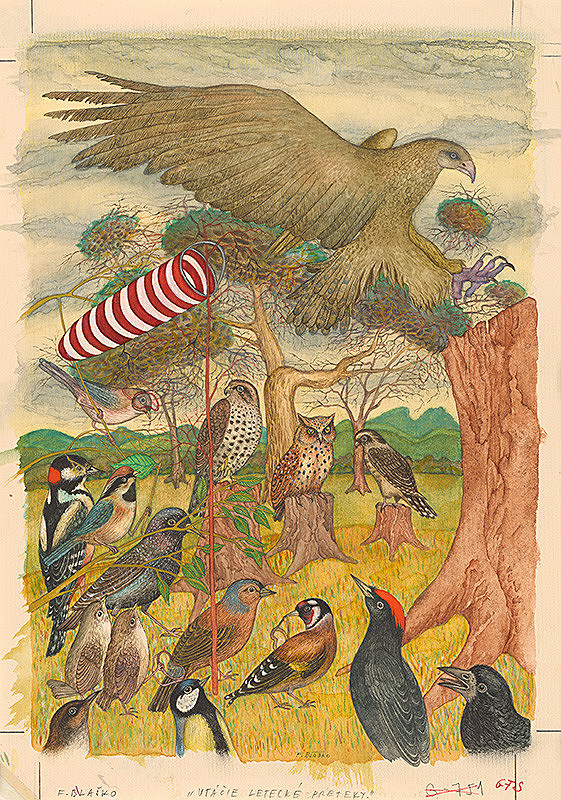 František Blaško – Vtáčie letecké preteky