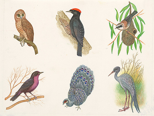 František Blaško – Šesť malých obrázkov