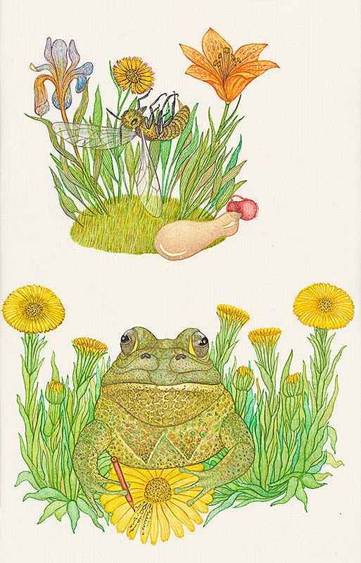 František Blaško – Medový hrnček, Hakybaky 