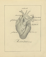 Maximilián Schurmann – Skicár - 14. list 
