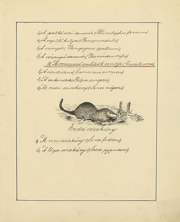 Maximilián Schurmann – Skicár - 31. list 