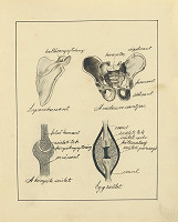 Maximilián Schurmann – Skicár - 8. list 