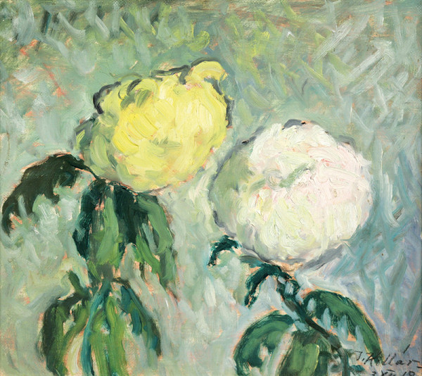 Jozef Kollár – Chryzantémy 