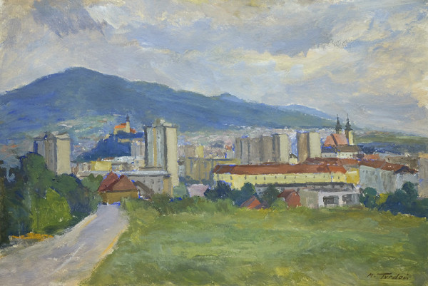 Martin Tvrdoň – Pohľad na Nitru 