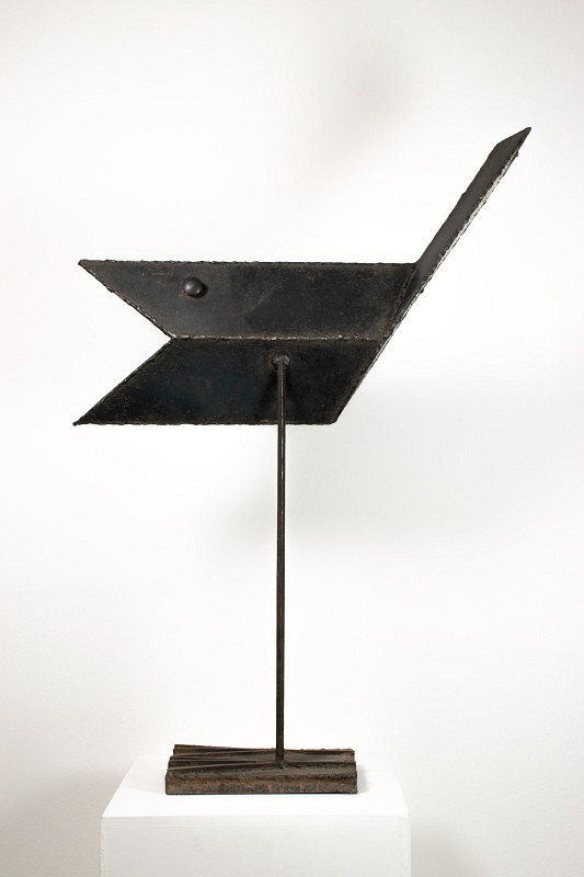 Theodor Lugs – Vták 