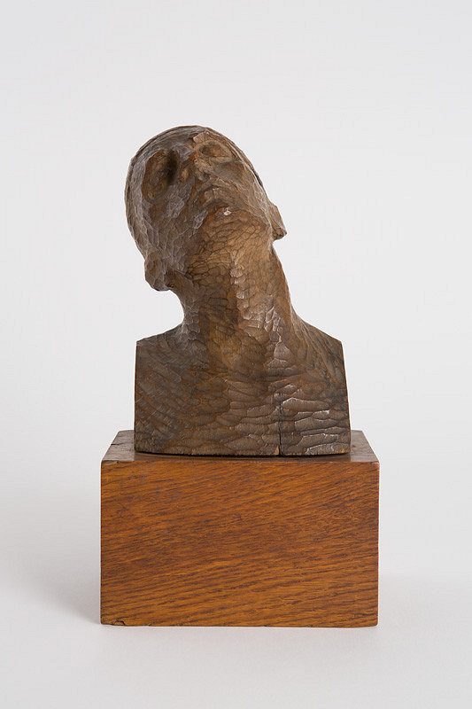 Július Bártfay – Hlava mladého muža 