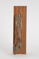 Juraj Meliš – Idea "B 