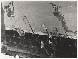 Anna Daučíková – Záhradná slávnosť (1) 