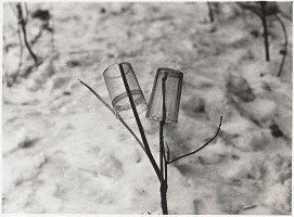 Anna Daučíková – Záhradná slávnosť (2) 