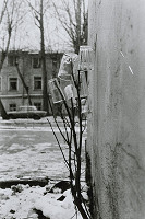 Anna Daučíková – Záhradná slávnosť (3) 