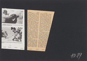 Anna Daučíková – Bez názvu (4) 