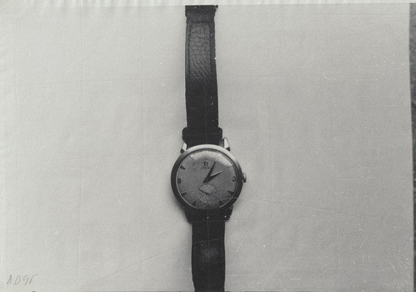 Anna Daučíková – Bez názvu (1) 