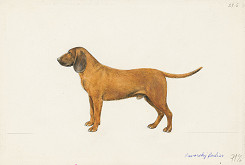 Jindřich Krejča – Bavorský farbiar 