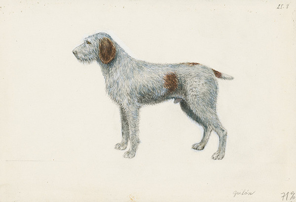 Jindřich Krejča – Grifón 