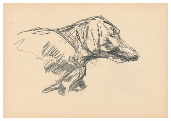 Ján Berger – Naša fenka 