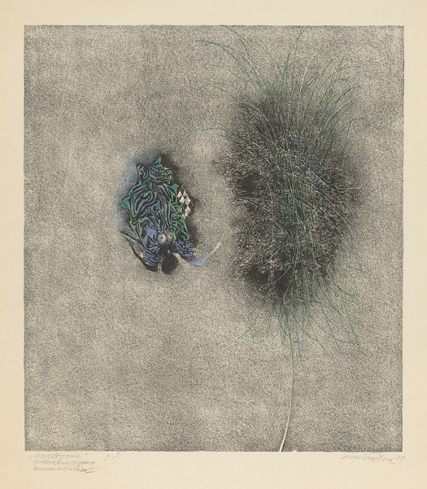 Viera Gergeľová – Nezvestovanie 