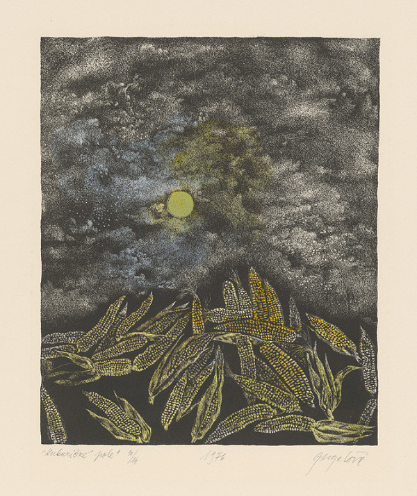 Viera Gergeľová – Kukuričné pole 