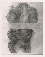 Milan Paštéka – Biely pás 