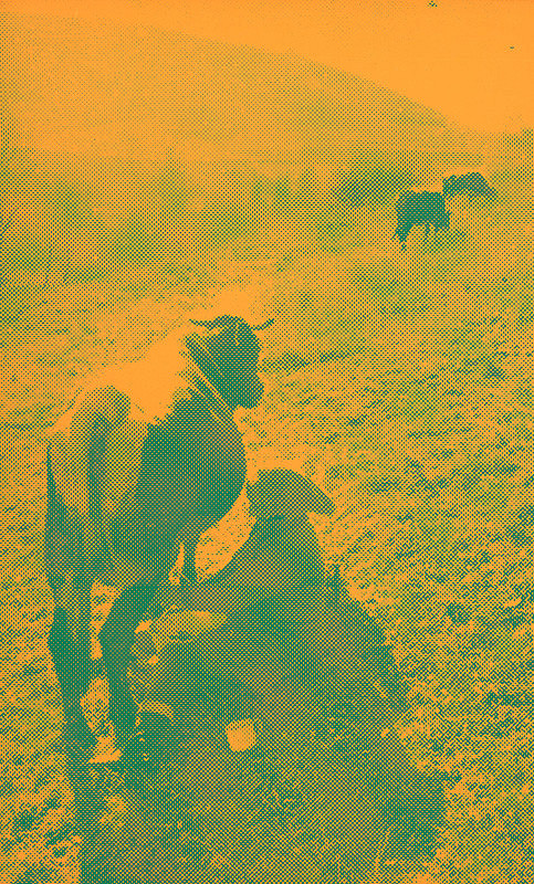 Pavol Breier, Zdeno Horecký – Dojenie 