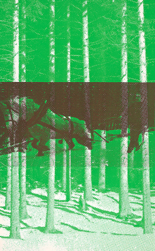 Pavol Breier, Zdeno Horecký – Zvážanie dreva II. 