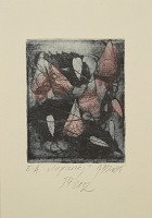 Jitka Bezúrová – PF 2002 / Lupienky 