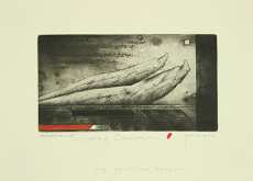 Zdenek Bugáň – PF 2013 / Správa z Orientu 