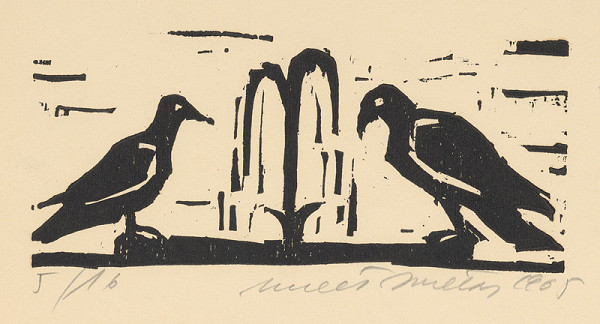 Ernest Zmeták – Holubica a vrana 