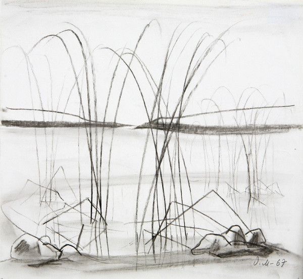 Dezider Milly – Rákosie 