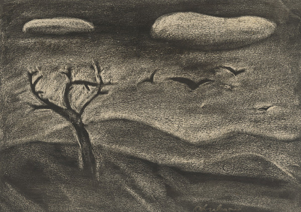 Orest Dubay – Pochmúrna krajina 