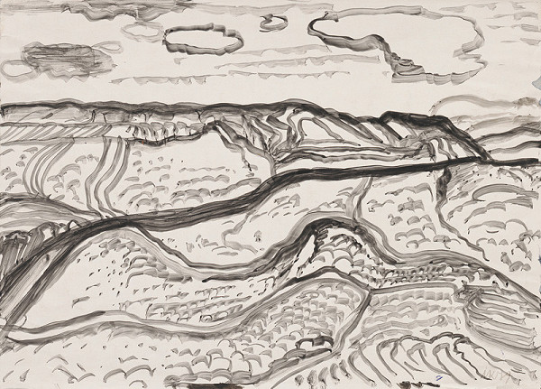 Ignác Kolčák – Polia 