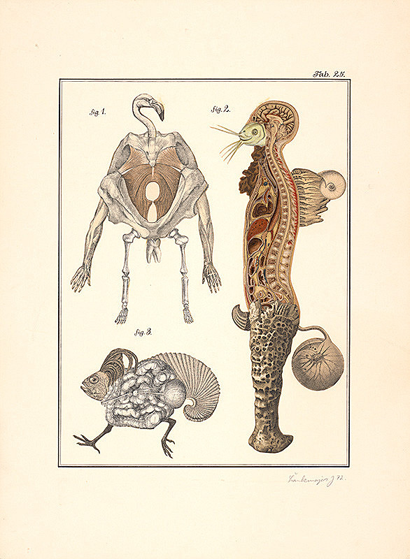 Jan Švankmajer – Švank-meyers Bilderlexikon, tabulka 25