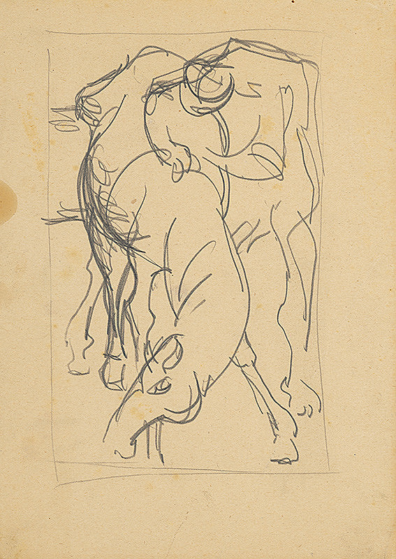 Jaroslav Kubička – Koník VI.