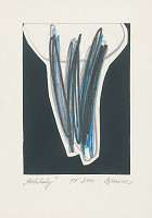 Rastislav Biarinec – PF 2004 / Vertikály 