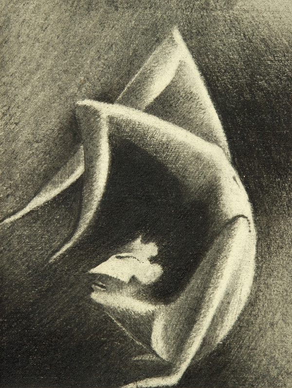 Martin Augustín – Hadí muž 