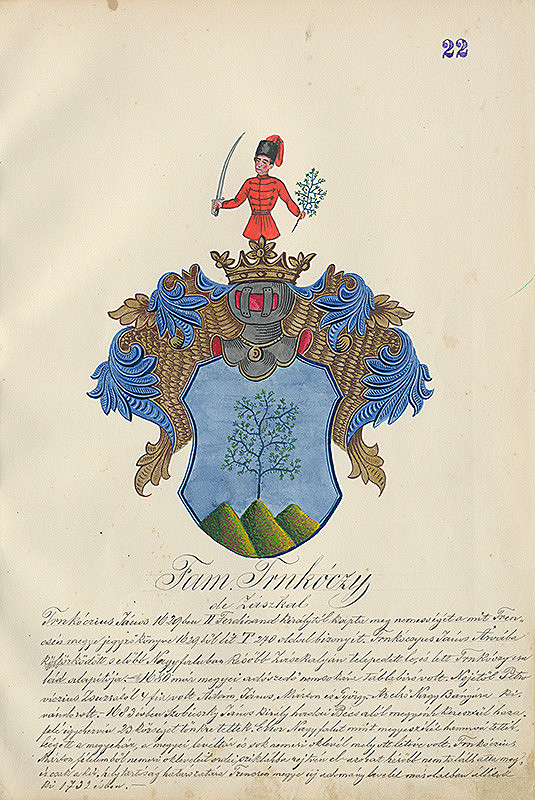 Adolf Medzihradský – Erb rodiny Trnkóczyovej 