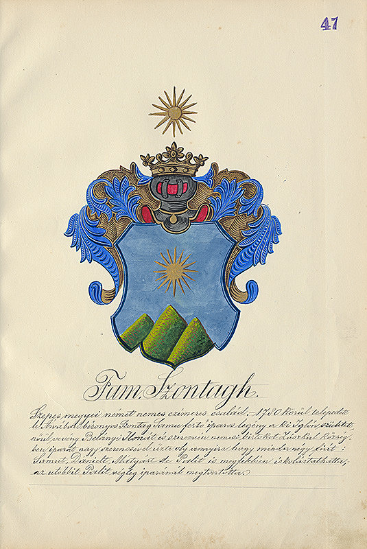 Adolf Medzihradský – Erb rodiny Szontághovej 