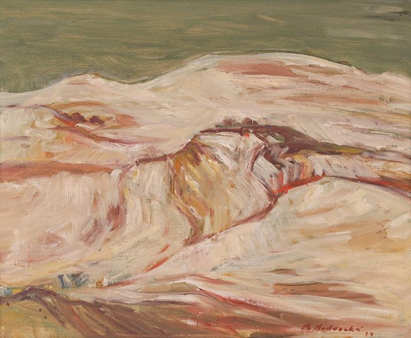 Mária Medvecká – Orava v bielom