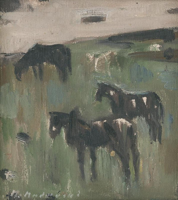 Mária Medvecká – Čierne kone